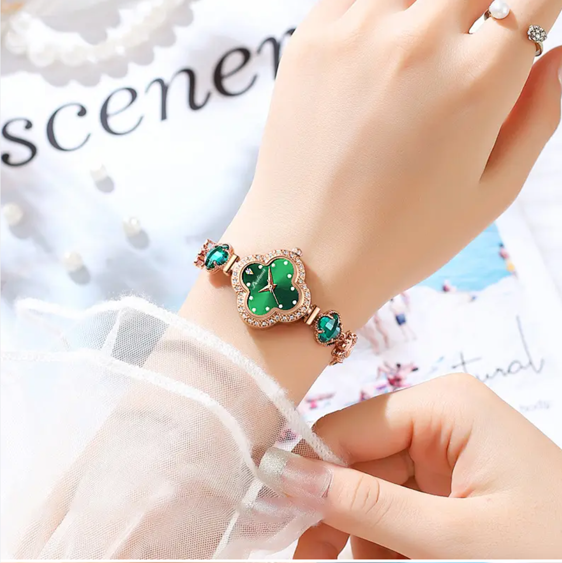 Montre femme Diana bracelet maille – prix promo Maroc